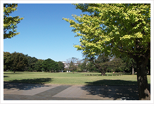 デイケアってどんなところ？