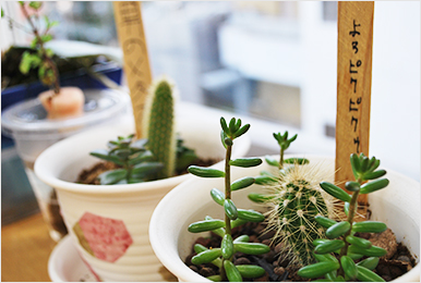 生活充実プログラム